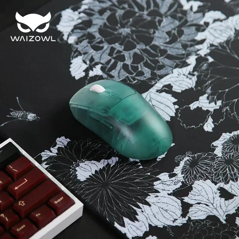 Waizowl OGM Pro Wireless Mouse - مراجعة Laptop Accessories Design وسعره